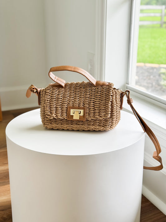 Rattan Top Handle Bag