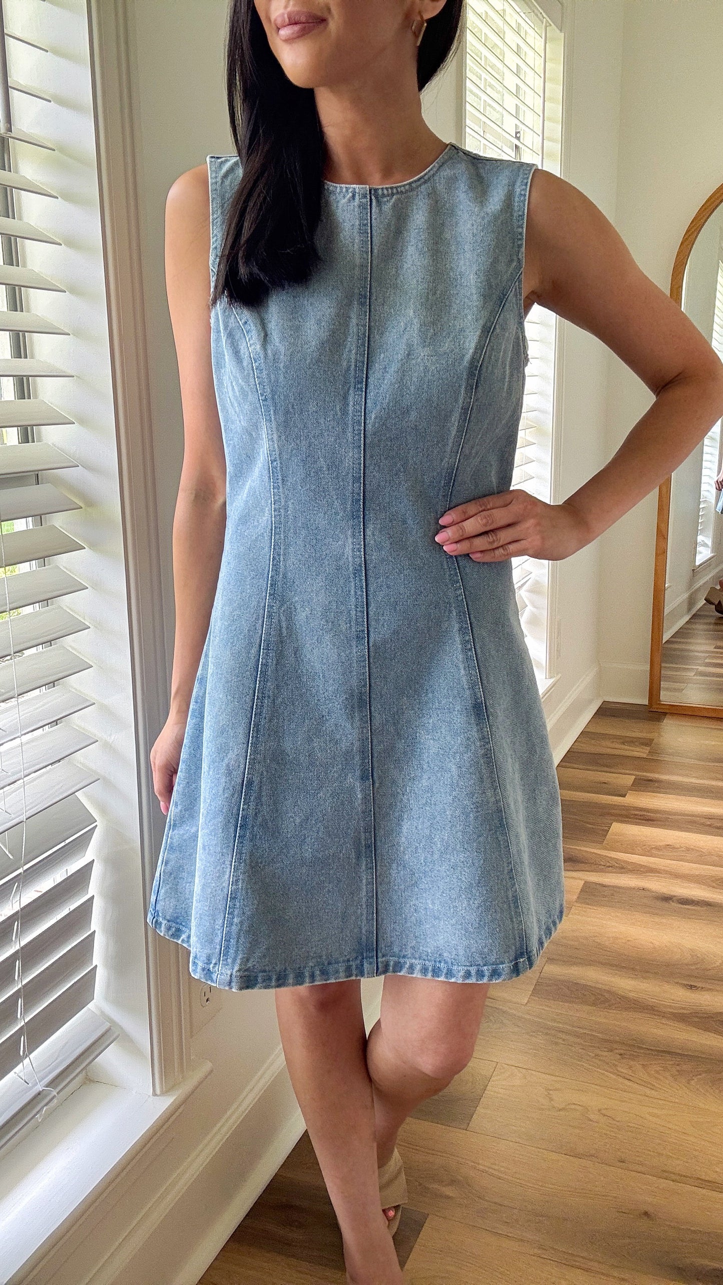 Desi Denim Dress