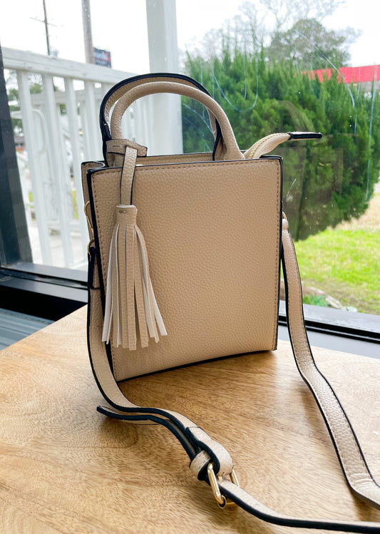 Tassel Mini Tote